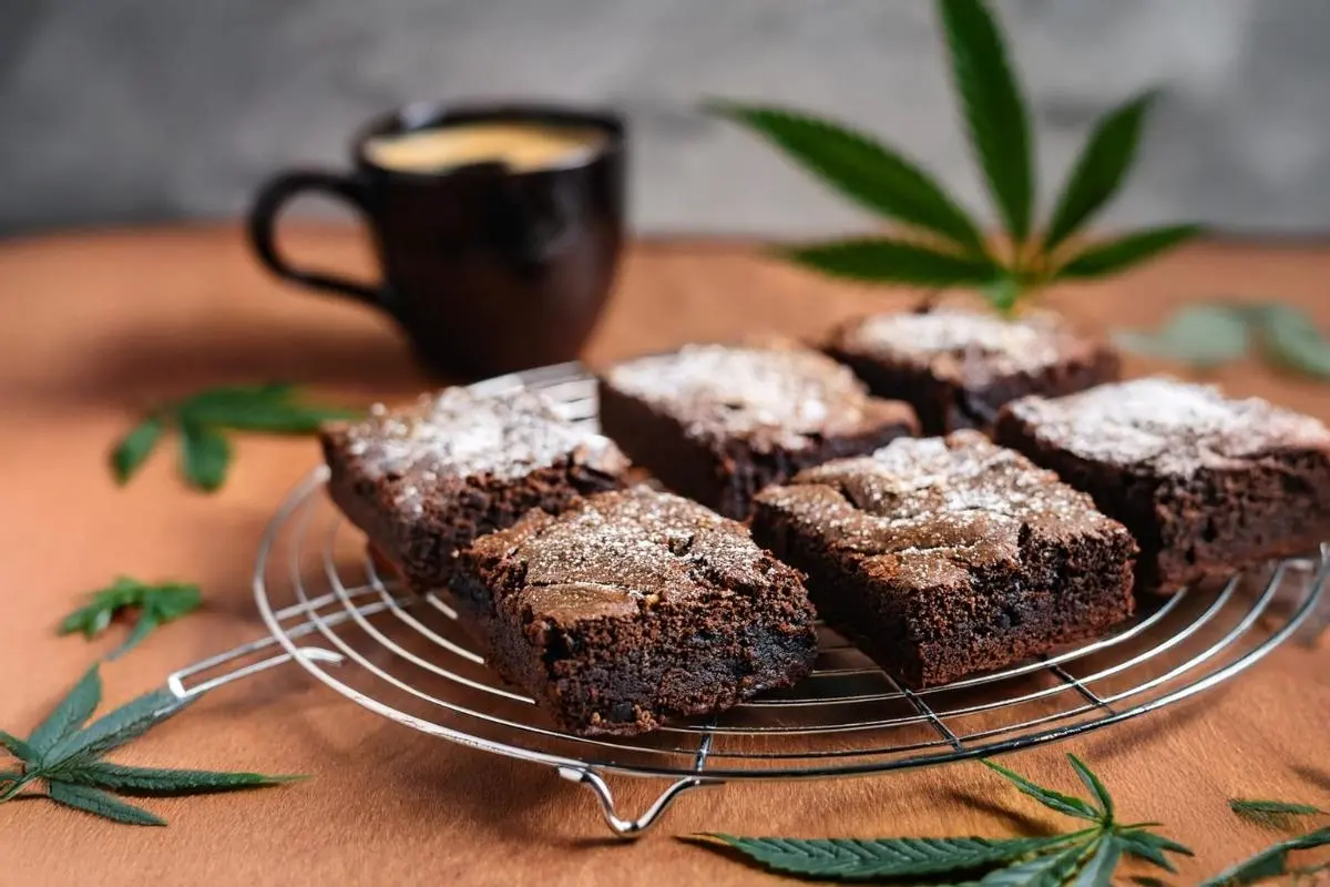 Freshly baked pot brownies cut into squares on a cooling rack.